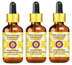 Deve Herbes Pure Oakmoss Essential Oil (Evernia prunastri) with Glass Dropper Steam Distilled (Pack of Three) 100ml X 3 (10 oz)