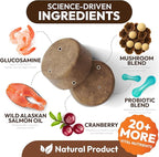 (2 Pack) Turkey Tail Mushroom for Dogs - 340 Chews - Lion’s Mane - Shiitake - Reishi - Buddy Immune Support Guard - Mushroom Supplement for Dogs with Glucosamine, Health Vitamins Multivitamin