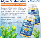 Omega-3 Gummies for Adults, Orange Flavor – Sugar-Free, Algae-Derived DHA 600mg & EPA 300mg, with Vitamins A, C, E, Zinc, 60 Gummies