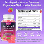 L-Lysine 1000mg Gummies for Immune Support & Skin Health - High Potency Vegan, Sugar-Free, Gluten-Free Supplement with Natural Raspberry Flavor for Adults & Kids - 60 Gummies