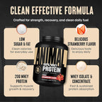 Animal 100% Whey Protein Powder – Whey Blend for Pre or Post Workout, Recovery, Anytime Low Sugar Protein Boost Meal Replacement with BCAA Branched Chain Amino Acids – New Flavor, Strawberry, 4 lb