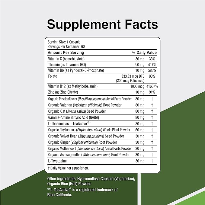 CalmSupport: Stress & Relaxation Support - Ashwagandha, Passion Flower, Valerian Root, Ginger, GABA, Velvet Bean, Motherwort, Oat Seed, L-Theanine, L-Tryptophan, Folate, C,B1,B6,B12,Zinc - 60 Capsules