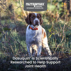 Nutramax Dasuquin for Small to Medium Dogs, Joint Health Supplement, Contains Glucosamine for Dogs, Plus Chondroitin, ASU, MSM and More, Supports Healthy Joints, Chewable Tablets, 150 Count