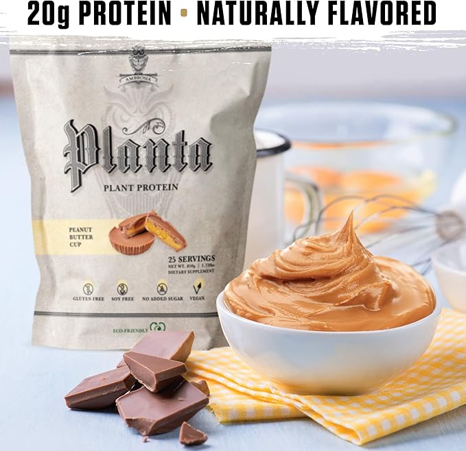 Ambrosia Planta - Plant-Based Protein Powder 20g | Dairy Free Vegan Protein Powder with BCAA Amino Acids | Keto-Friendly, No Added Sugar | 25 Servings | Peanut Butter Cup