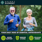 (2 PACK) Citrus Bergamot Extract 1000mg - Citrus Bergamot Supplement for Circulatory Health, Immunity, and Graceful Aging - 2x the potency of Citrus Bergamot 500mg - 240 Vegan Citrus Bergamot Capsules