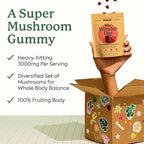 Plant People WonderDay Mushroom Gummies - Lion’s Mane, Cordyceps, Chaga Mushroom Supplement to Support Immune System De-Stress Boost Mood & Energy in Adults Natural, Vegan, Non-GMO (60 Count)