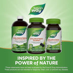 Nature's Way Chlorofresh Chlorophyll Gummies, Supports Healthy Skin and Body Detox*, Internal Deodorant*, Orchard Fruit Flavored, 60 Gummies, (Pack of 2)