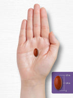 Carlyle Lavender Pills | 80 mg | 120 Softgel Capsules | Calm & Non-Drowsy Formula | Non-GMO & Gluten Free Supplement