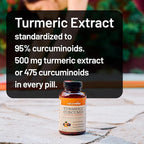 NatureWise Turmeric Curcumin 500mg with Black Pepper Softgels - Extra Strength, Enhanced Absorption - 95% Curcuminoids & BioPerine for Immune Support - Gluten-Free, Non-GMO - 90 Count[3-Month Supply]