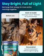 NAD+ Glucosamine for Dogs Hip and Joint Supplement - 300 Soft Chews - Advanced Mobility Support with MSM, Chondroitin, Resveratrol & CoQ10 - Healthy Aging & Vitality
