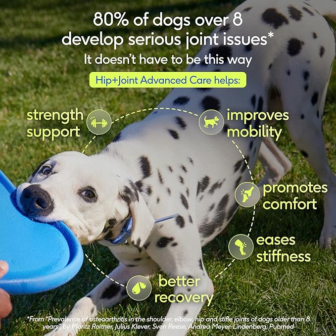 Native Pet Hip & Joint Advanced Care Dog Joint Supplement Powder for Mobility & Movement Support, Joint Supplement for Dogs with HMB, UC-II Collagen, Green Lipped Mussel & Hyaluronic Acid – 60 Scoops