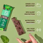 IQBAR Clean Plant Protein Bars - Chocolate Mint Chip - 36 Count - Keto, Vegan, High Fiber, Gluten and Dairy Free, Low Sugar Snack - Brain and Body Nutrients for Focus, Energy, Meal Replacement