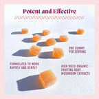 Microjoy Concentrate Gummies – Focus, Memory, Brain Health & Mood Support Supplement – Vegan, Non-GMO, Gluten-Free - Lemon Flavor (30 Servings)