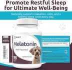 K9 Select Melatonin for Dogs - Calming Chews - Dog Melatonin for Sleep - Reduce Stress, Helps Overall Health Composure Calming Treats for Small Dogs - 1 mg, 180 Beef Flavored Chewable Tablets