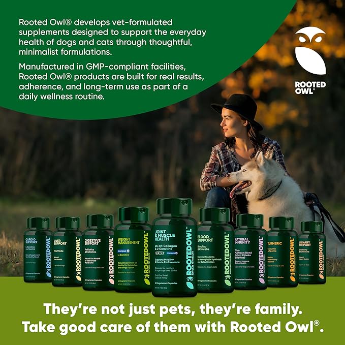 Rooted Owl Joint and Muscle Support for Cats and Small Dogs (Under 30 Lbs) - Supplement with UC-II Type II Collagen and L-Carnitine - 30 Count