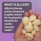 NatureWise Garlic Extract 5,500 mcg Allicin Supplement - Healthy Cholesterol & Blood Pressure Formula + Vitamins B & C - Vegan Tablets w/Enteric Coating, Non-GMO, Gluten-Free, 60 Count [30-Day Supply]