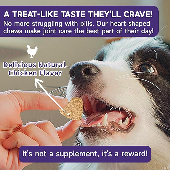 3g 90 Count Hip & Joint Supplement for Dogs with Undenatured Type II Collagen, MSM, Green Lipped Mussel, Glucosamine, Chondroitin Support Mobility, Chicken Flavored Soft Chews