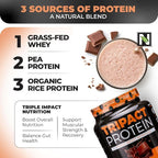 Nutrology TRIPACT Protein Powder - 7-in-1 Meal Replacement Shake with Grass Fed Whey Protein Powder, Pea, Rice, & Greens - Boost Muscle Recovery & Immunity, Creamy Chocolate Flavor, 40 Servings