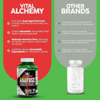 Vital Alchemy Anafuse Turkesterone Supplement for Men, Epicatechin, Quercetin, Black Pepper, and More - Increase Stamina, Lean Muscle Growth & Recovery - USA Made & Non-GMO - 120 Vegan Capsules