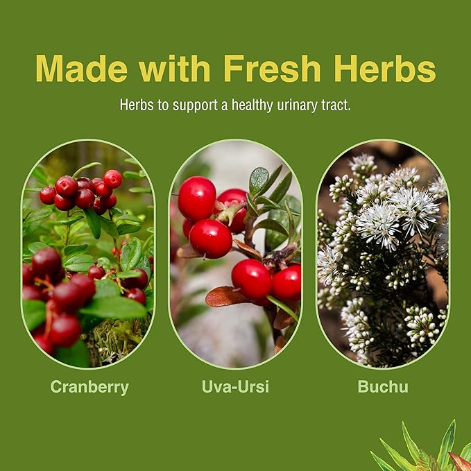 Herbs Etc. CranBladder ReLeaf Softgels - Bladder Health Support - Natural Supplement Formula to Aid Urinary Health & Comfort - Optimal Urinary Support with Cranberry - 60 Softgels (60 Servings)