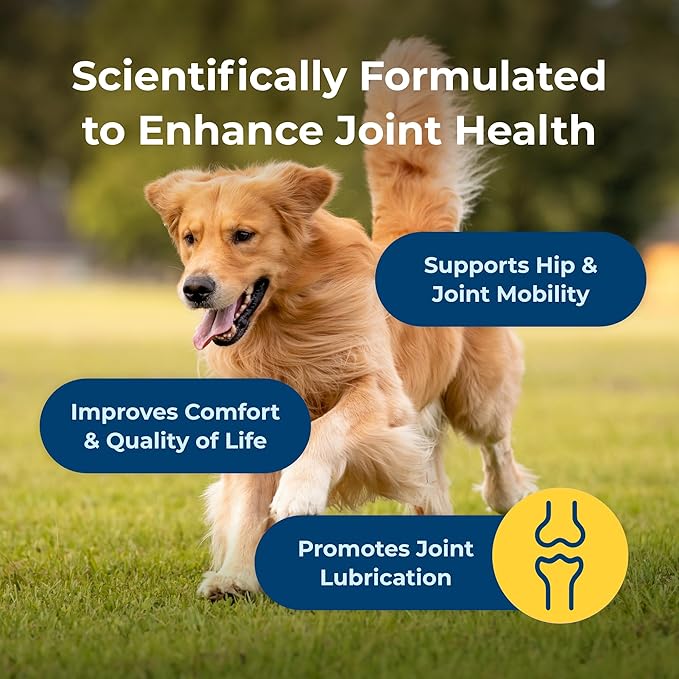 PetAg Dyne Soft Chews, Joint Health & Mobility Supplement - Vet-Formulated for Dogs - with UC-II® Collagen - Up to 4X More Effective Than Glucosamine/Chondroitin - 45 Chicken Liver Flavor Chews