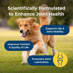 PetAg Dyne Soft Chews, Joint Health & Mobility Supplement - Vet-Formulated for Dogs - with UC-II® Collagen - Up to 4X More Effective Than Glucosamine/Chondroitin - 45 Chicken Liver Flavor Chews