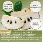 Soursop Leaves & Soursop Fruit Gummies - Sugar Free Soursop Graviola Gimmies - 3000mg Max Strenght Soursop Extract - Graviola Supplement - Soursop Fruit and Leaf - 60ct - Non-GMO – Vegan Friendly