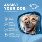 Calming Chews for Dogs Anxiety Relief - Soft Chews for Dogs - Melatonin, Chamomile Extract, Valerian Root - Travel Pack - Vet Visits, Grooming, Nail Trimming, Storms