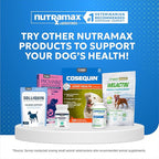 Nutramax Laboratories Cosequin Elements Dog Joint Health Supplement with Glucosamine, Green Lipped Mussel, Eggshell Membrane, & Hyaluronic Acid, 75 Tasty Chewable Tablets for Dogs