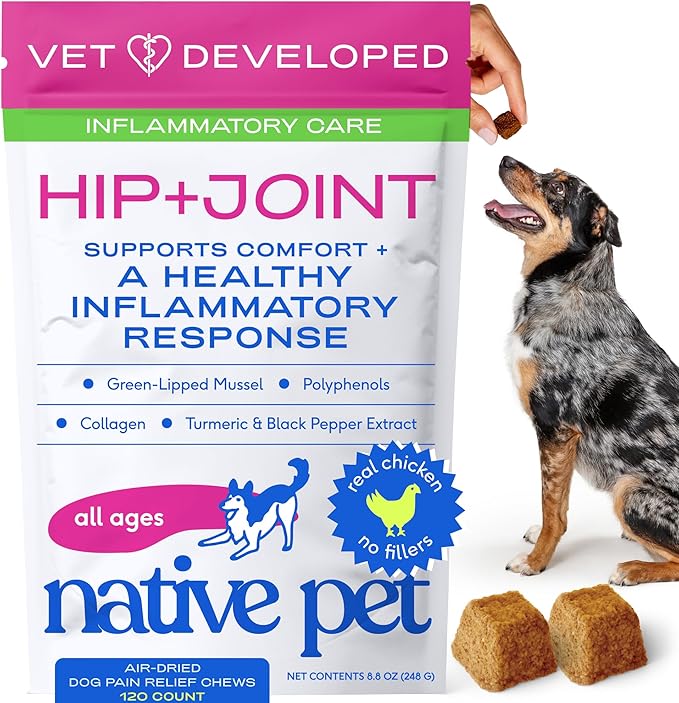 Native Pet Inflammatory Care - Pain Relief for Dogs - Green-Lipped Mussel, Turmeric & Collagen for Dogs - Hip and Joint Supplement Supports Healthy Inflammatory Response & Joint Comfort - 120 Chews