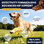 Hip and Joint Supplement for Dogs Dog Probiotics Glucosamine Chondroitin MSM Chew for Dog Arthritis Pain Relief Extend Joint Care, Probiotic for Digestive/Gut Health for Large/Small/Senior Breed Dogs