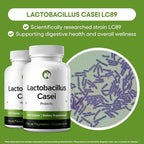 Natural Foundation Supplements Lactobacillus Casei Probiotic Supplement 240 Tablets 3 Billion CFU Probiotics for Men & Women Supports Intestinal Digestive & Gut Health (240, Lactobacillus Casei)