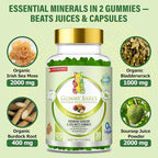 Sea Moss & Soursop Gummies - Organic Irish Sea Moss, Sour SOP Multivitamin, Soursop Bitters, Seamoss & Sea Grapes | Vegan, Sugar-Free (120 ct) | Gummy Bares