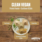 Ambrosia Plant Protein Powder 20g | Vegan Pea Protein Powder with BCAA Amino Acids | Dairy Free, Keto-Friendly, No Added Sugar | 25 Servings | Banana Maple