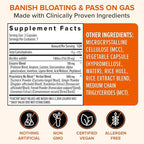 Zenwise Health No Bloat Probiotics for Women and Men Digestive Health with Ginger, Dandelion, and Lactase, Digestive Enzymes for Gas and Bloating Relief - Vegan Water Retention Pills - 14 CT