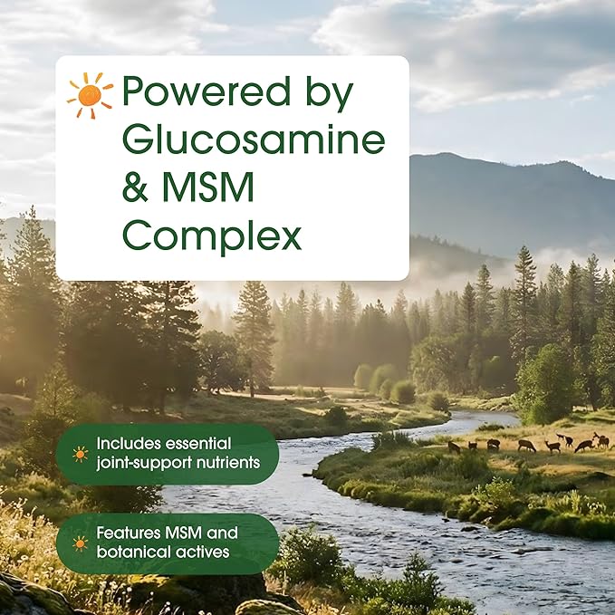 NatureBell Advanced Glucosamine Chondroitin & MSM - 240 Capsules - 10-in-1 Joint Support Complex* - Includes Hyaluronic Acid, Turmeric, Glucosamine, Collagen & More