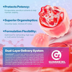 Cortisol Gummies for Women & Men, 19-IN-1 High Cortisol Reducer Supplement w/B Vitamins, Magnesium Glycinate, Ashwagandha, Saffron, Lion's Mane, Reshi for Relaxation, Focus & Balance Support, 60 Cout