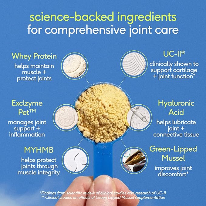 Native Pet Hip & Joint Advanced Care Dog Joint Supplement Powder for Mobility & Movement Support, Joint Supplement for Dogs with HMB, UC-II Collagen, Green Lipped Mussel & Hyaluronic Acid – 30 Scoops