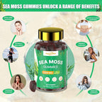 Irish Sea Moss Gummies: Seamoss Gummies Supplement with Bladderwrack Burdock Root & Ashwagandha Boosts Immune Support Gut Health Vegan Supplement for Adults & Kids 60 Gummies