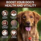 Turkey Tail Mushroom for Dogs - 170 Chews - Mushroom Supplement for Dogs - Lions Mane - Reishi - Immunity Support Multivitamin Vitamins - Joint Health - Energy - Gut - Skin - Made in USA