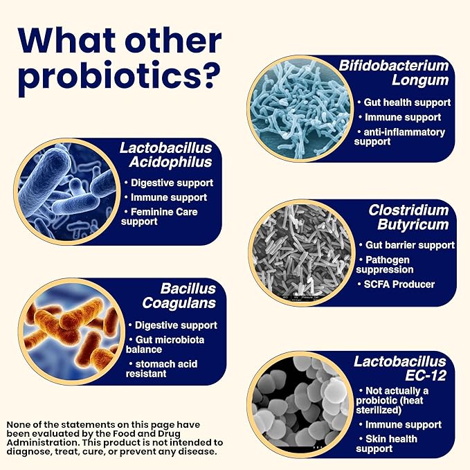 Pro Mix Kefir Probiotic Supplement with 12 Strains + Prebiotics for Gut & Immune Health | Travel-Friendly Powder Packs (30ct).