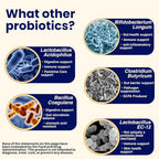 Pro Mix Kefir Probiotic Supplement with 12 Strains + Prebiotics for Gut & Immune Health | Travel-Friendly Powder Packs (30ct).