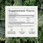 DIM & Indole 3 Carbinol for Hormone Balance for Women & Men | I3C Complex | Estrogen Balance, Menopause Supplements for Womens Health, Antioxidants | Vegan, Non-GMO, Gluten-Free | SMNutrition |60 Ct.