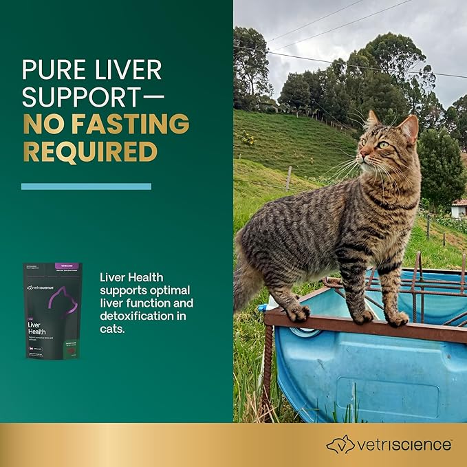VetriScience Liver Health Chews for Cats – Daily Liver Support & Detox Supplement with Milk Thistle, Turmeric, Artichoke Leaf & Antioxidants, for Cleansing & Support, Chicken Flavor, 120 Cnt
