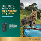 VetriScience Liver Health Chews for Cats – Daily Liver Support & Detox Supplement with Milk Thistle, Turmeric, Artichoke Leaf & Antioxidants, for Cleansing & Support, Chicken Flavor, 120 Cnt