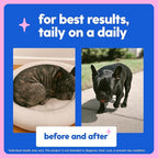 Taily Liquid Collagen for Dogs Skin and Coat Supplement, Cats | Taily Liquid Premium Grass-fed Collagen | Itch Relief for Dogs with Allergies, Biotin, Vitamin C and Hyaluronic Acid | Made in USA