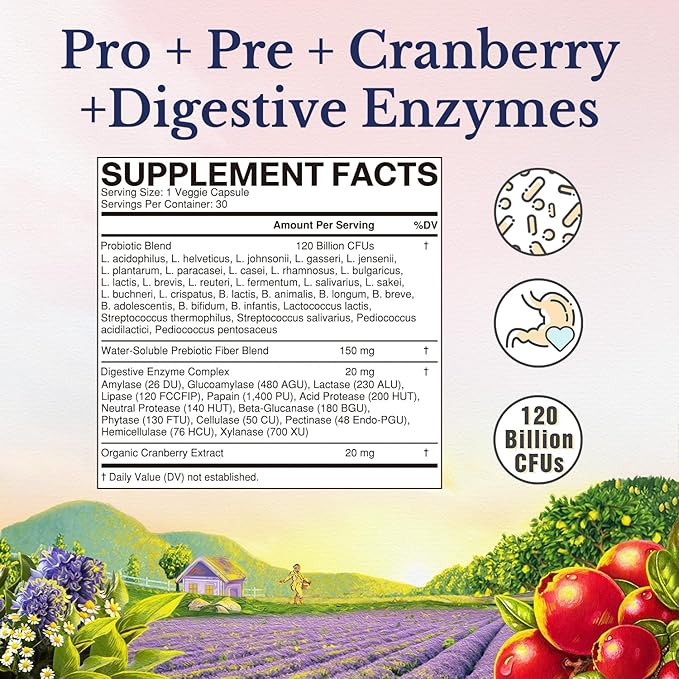 Vitalitown Probiotics for Women 120 Billion CFUs, 30 Strains, with Prebiotics & Digestive Enzymes & Cranberry, Gut & Vaginal Health, Vegan 30 (Pack of 1) Delayed Release Caps