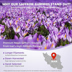 Saffron Supplements Gummies for Kids & Adults Vision, Zzz, Focus & Cortisol with Ashwagandha, L-Theanine, Rhodiola Rosea, St.John's Wort, Lemon Balm, Vitamin D3, B6, Magnesium & Zinc, Strawberry, 120