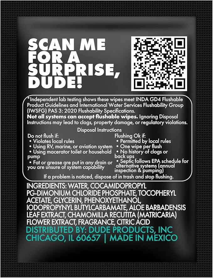 DUDE Wipes - On-The-Go Flushable Wipes - 4 Pack, 60 Count - Mint Chill Extra-Large Individually Wrapped Adult - with Eucalyptus & Tea Tree Oil - Septic and Sewer Safe