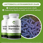 Lactobacillus Rhamnosus Probiotic Supplement 240 Tablets 3 Billion CFU Probiotics for Men & Women Supports Intestinal Digestive & Gut Health (240, Lactobacillus Rhamnosus)